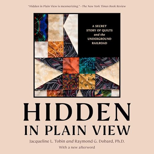 Hidden in Plain View By Jacqueline L. Tobin, Raymond G. Dobard, Cuesta Benberry, Floyd Coleman, Maude Southwell Wahlman