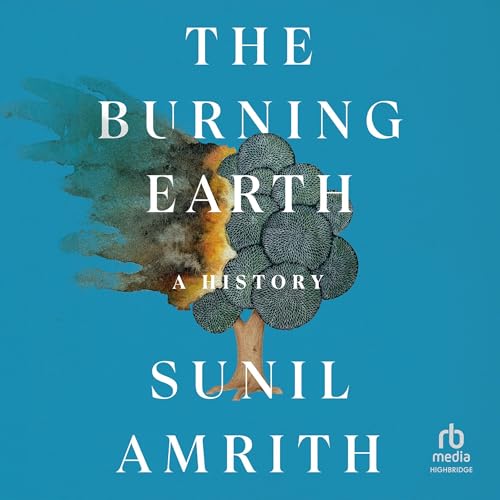 The Burning Earth By Sunil Amrith