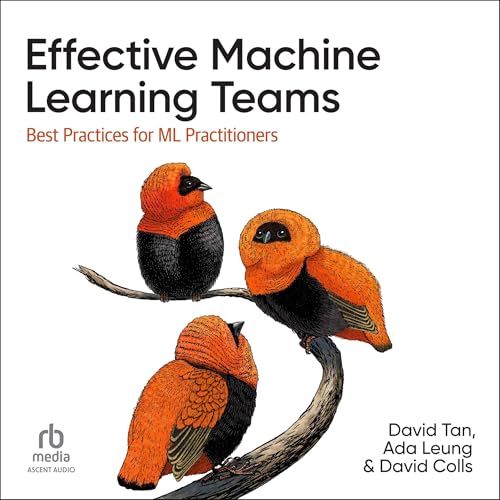 Effective Machine Learning Teams By David Colls, Ada Leung, David Tan