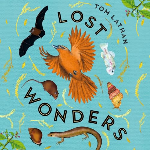 Tuesday, January 7 at 5:03 PM Your transfer's complete Lost Wonders By Tom Lathan, Claire Kohda