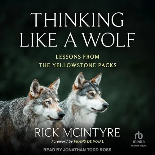 Thinking Like a Wolf By Rick McIntyre