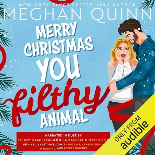How My Neighbor Stole Christmas By Meghan Quinn