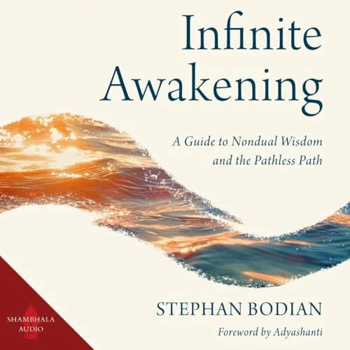 Infinite Awakening By Stephan Bodian