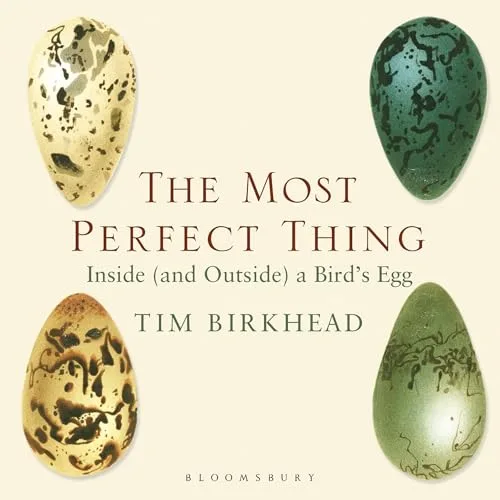 The Most Perfect Thing By Tim Birkhead